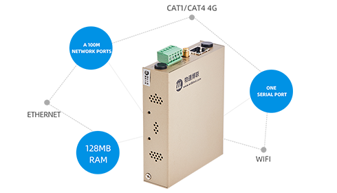 Multiple Networking Functions