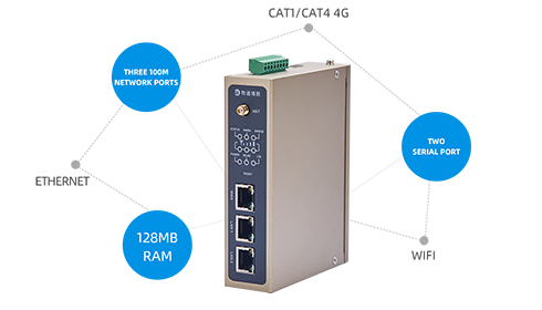 Multiple Networking Functions