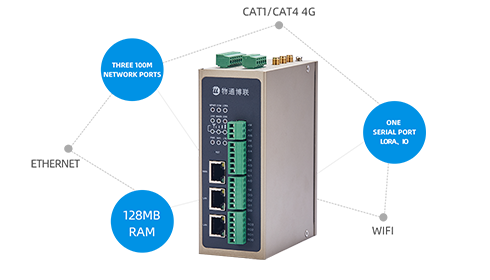 Multiple Networking Functions